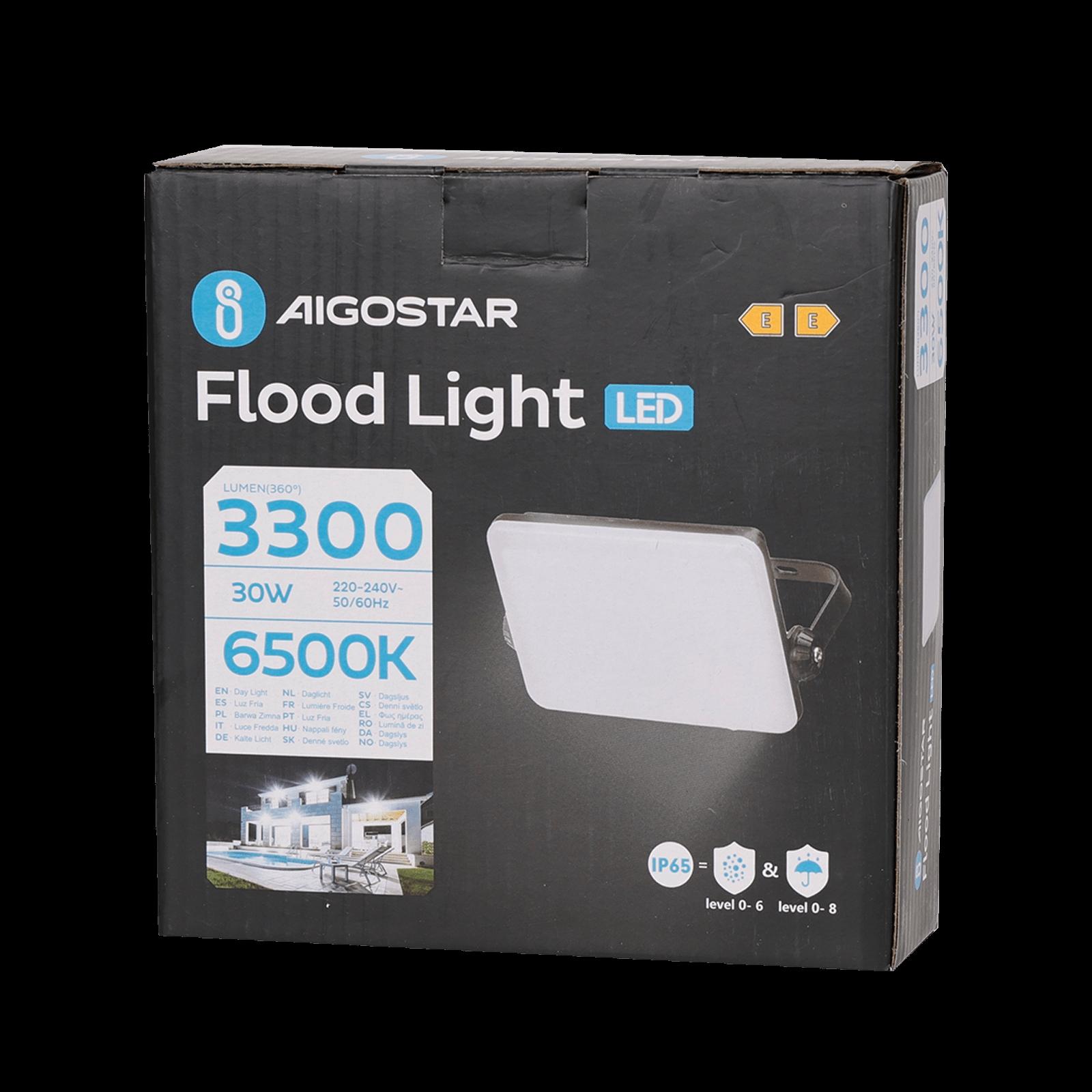 LED Frosted Cover Floodlight with Black Housing, 30W, 6500K