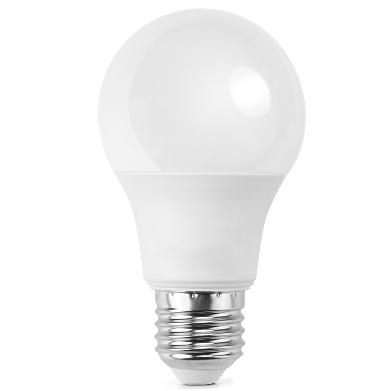 LED E27 17W A60 ( general bulb )