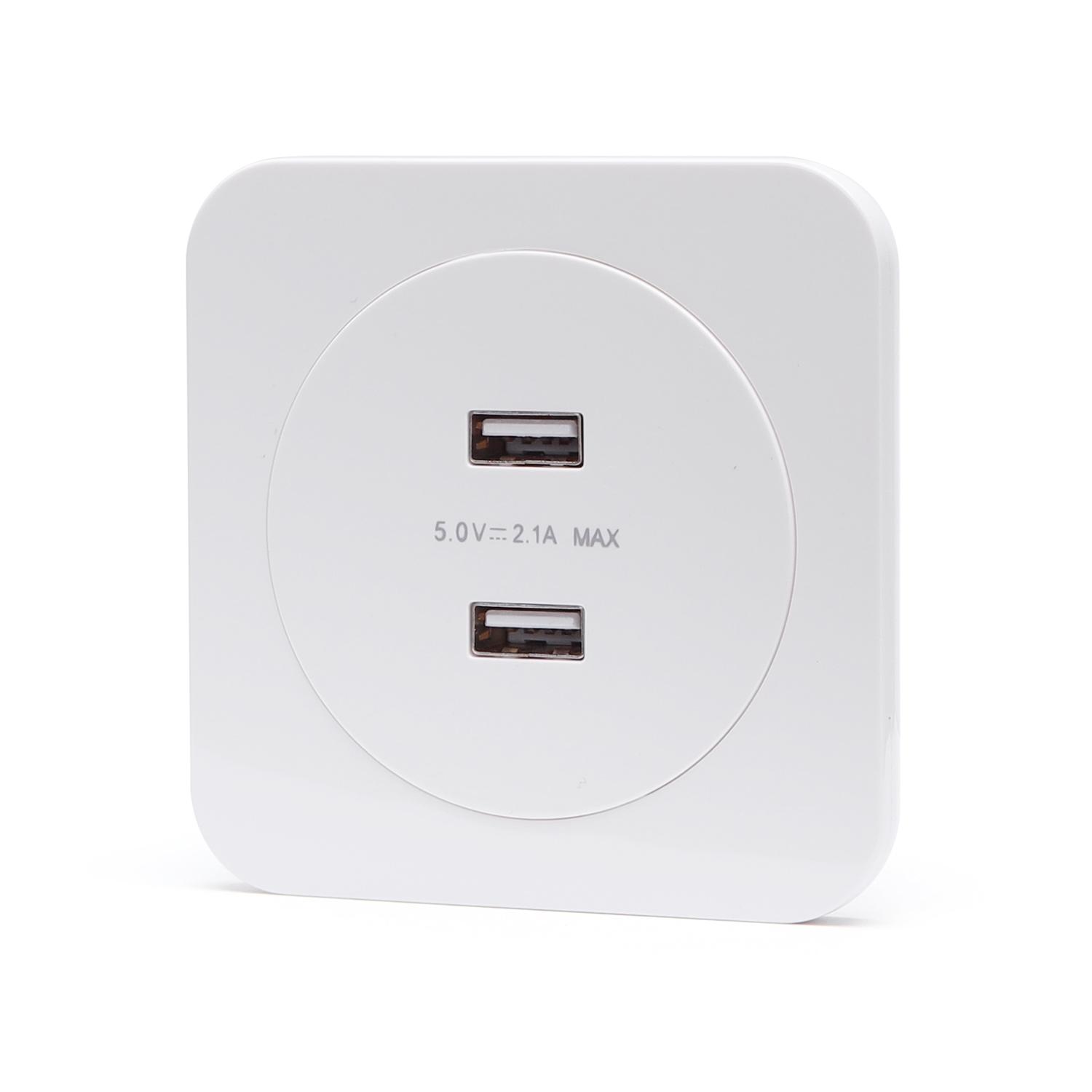 German-French 2*USB Socket White