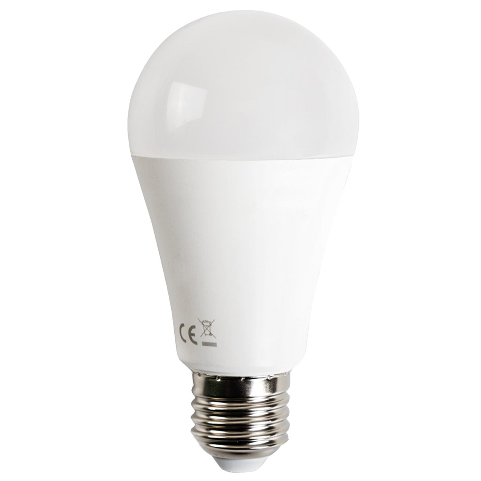 E27 19W A60 ( general bulb )