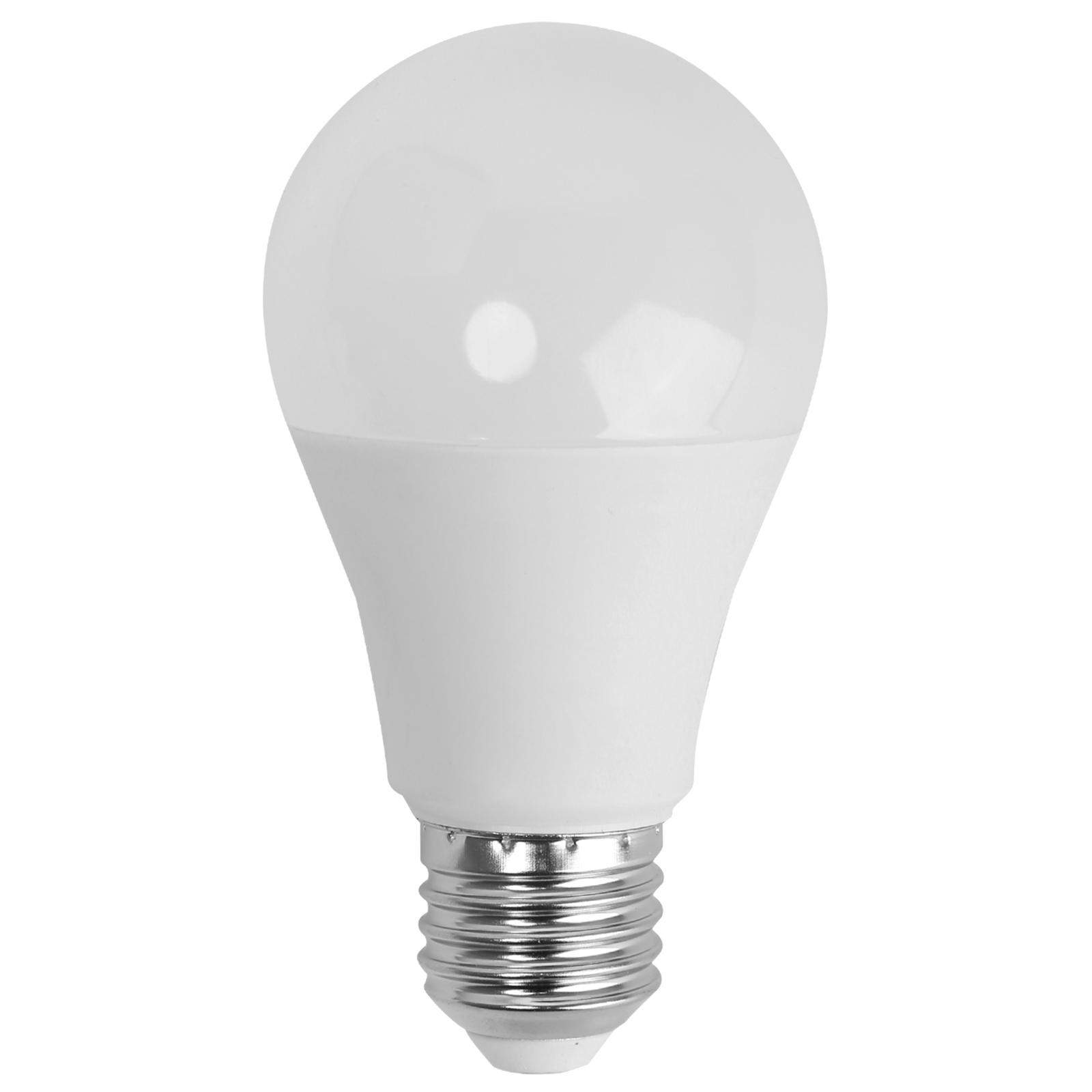 LED E27 11W A60 ( general bulb )