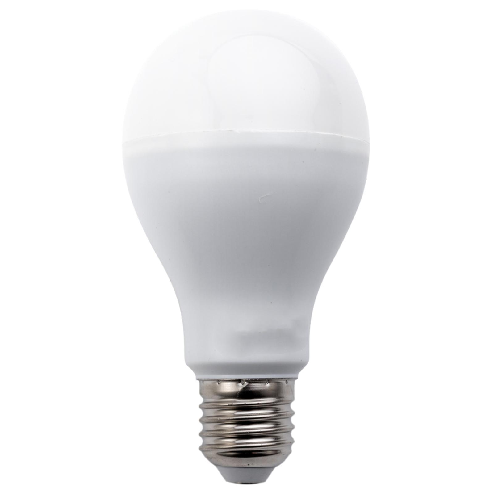 E27 20W A67 ( general bulb )