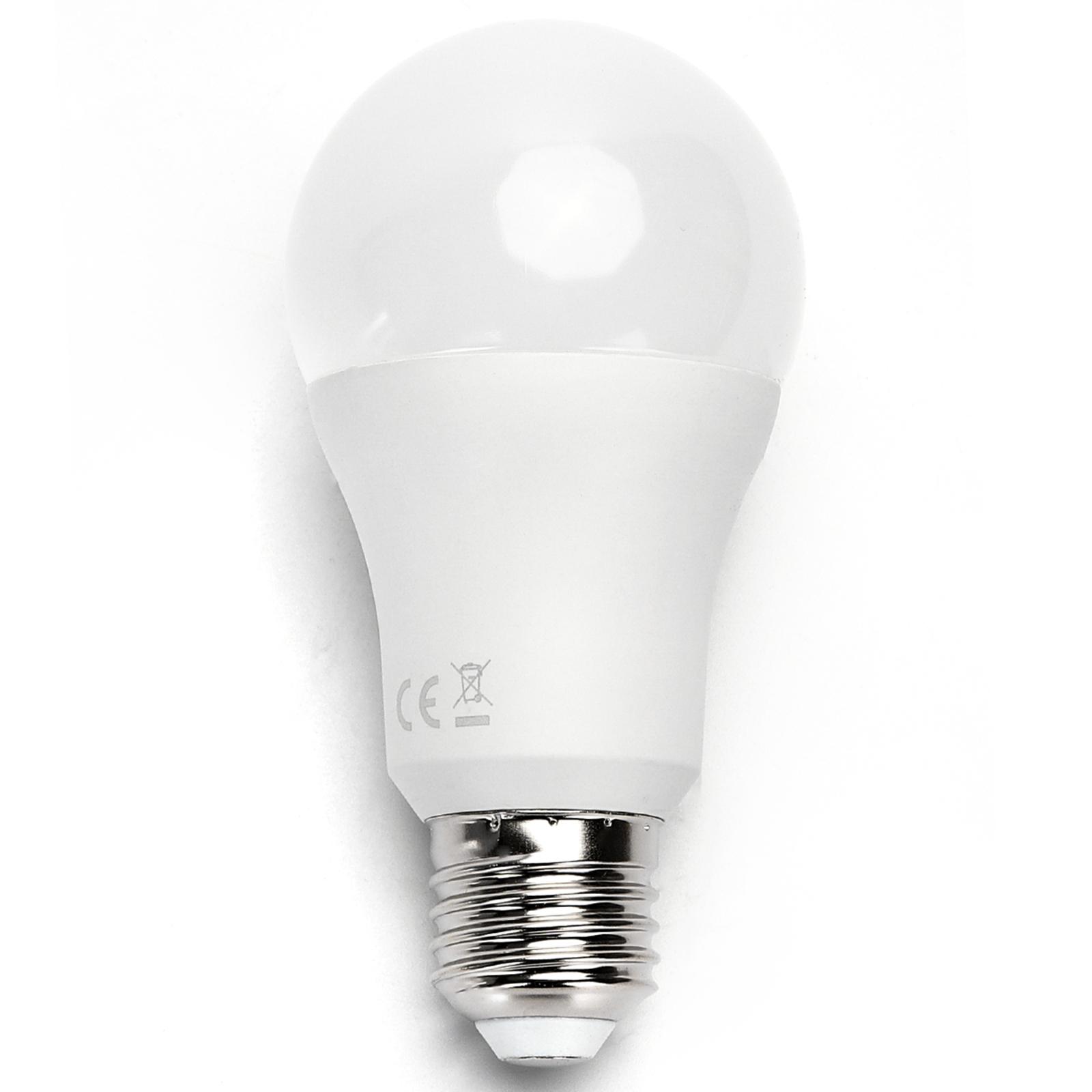 LED A60 E27 17W 6500k (17W,E27,6500K)