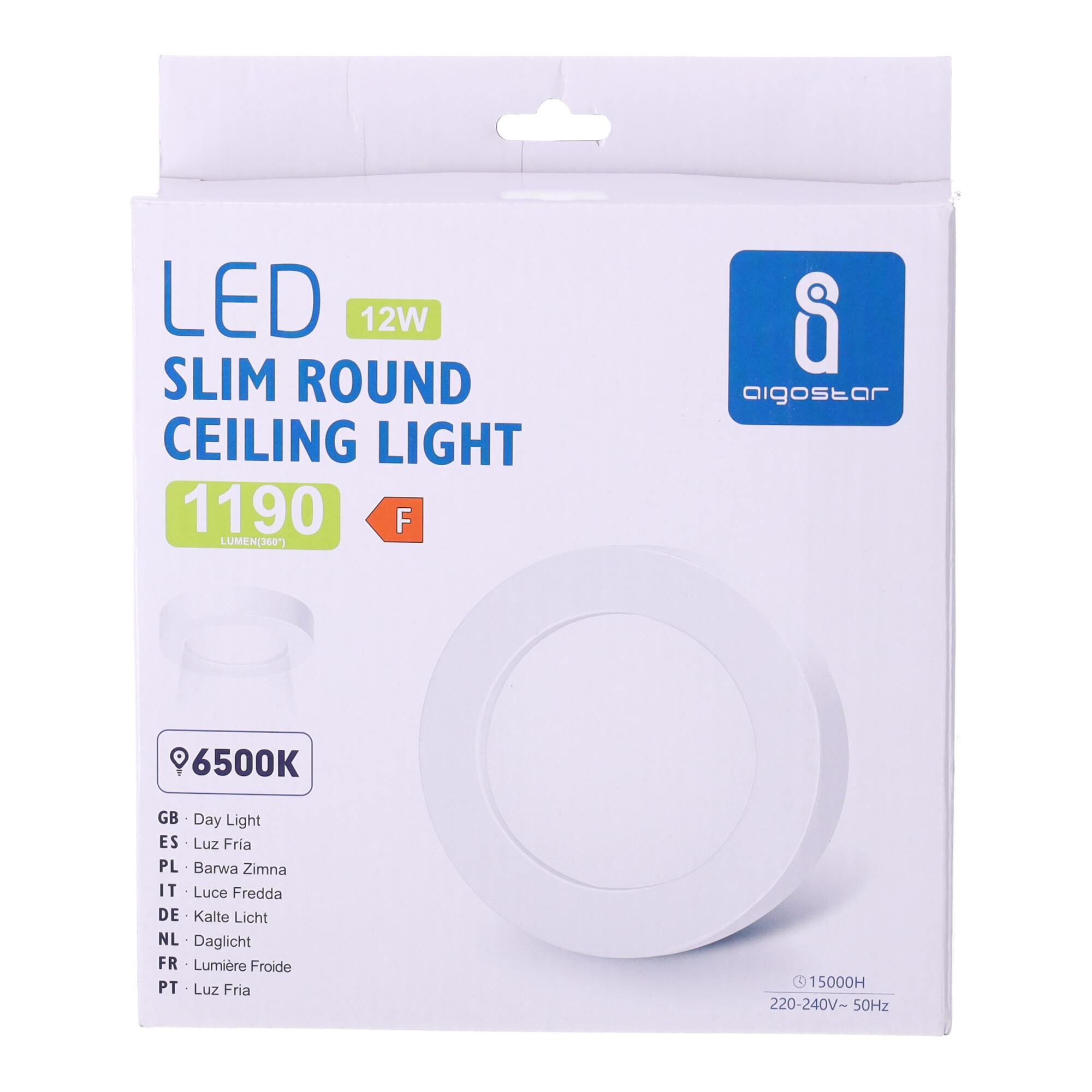 E6 LED  Surface-mounted Round Downlight 12W White Light